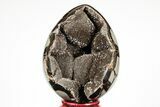 Septarian Dragon Egg Geode - Black Crystals #191505-2
